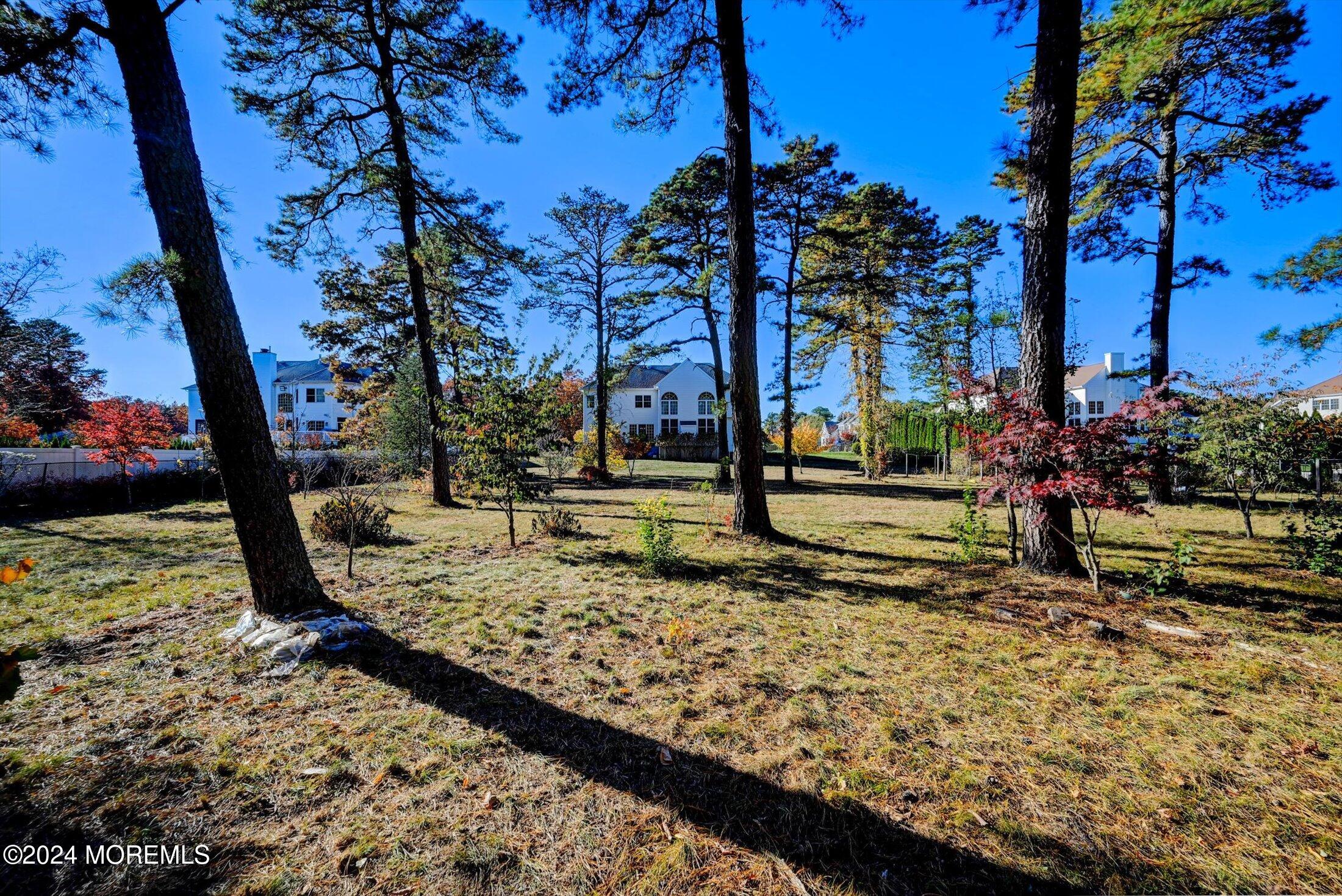 25 Wilson Boulevard Jackson, NJ 08527 - Photo 44 of 61 53-Backyard