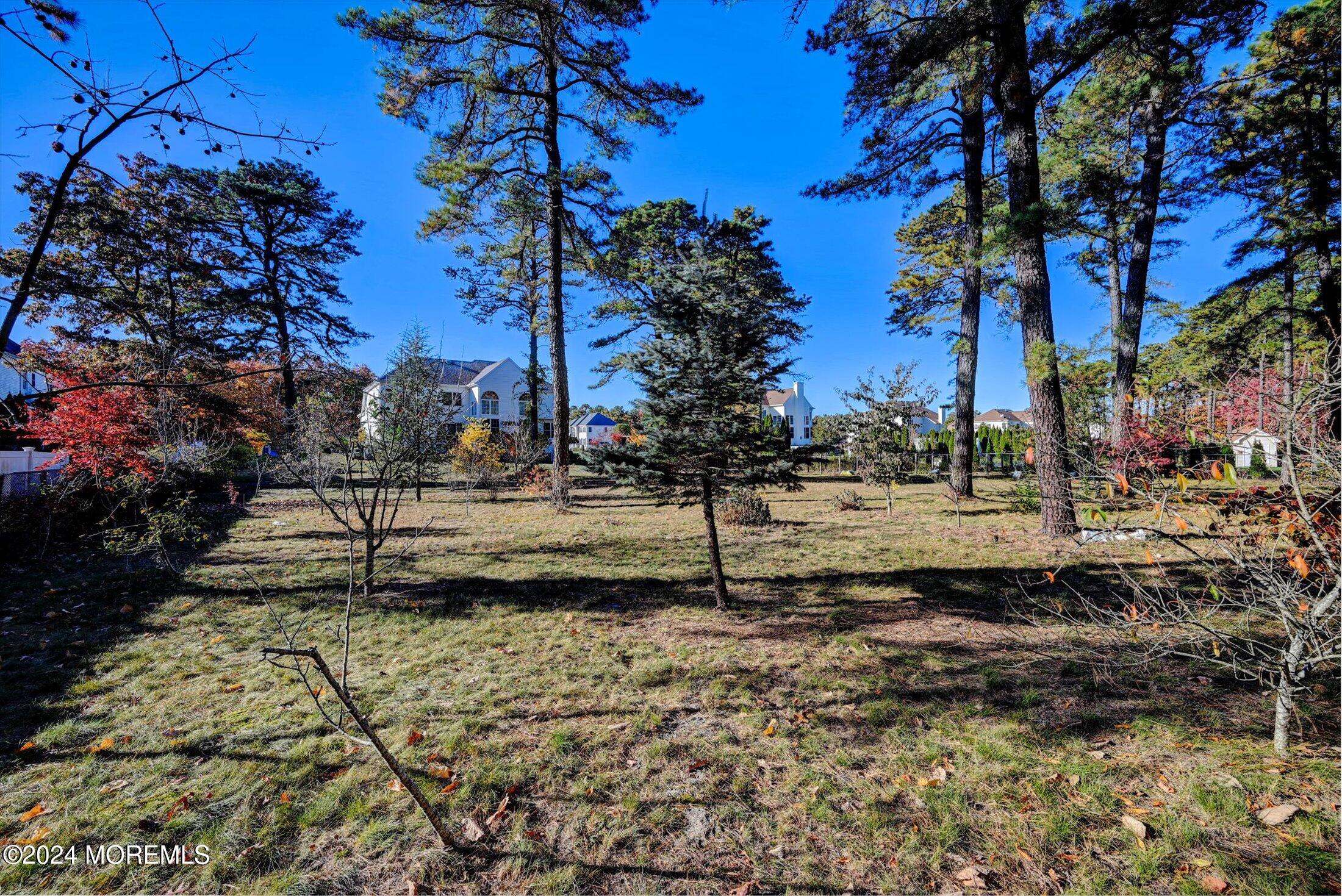 25 Wilson Boulevard Jackson, NJ 08527 - Photo 52 of 61 a view of a yard with plants