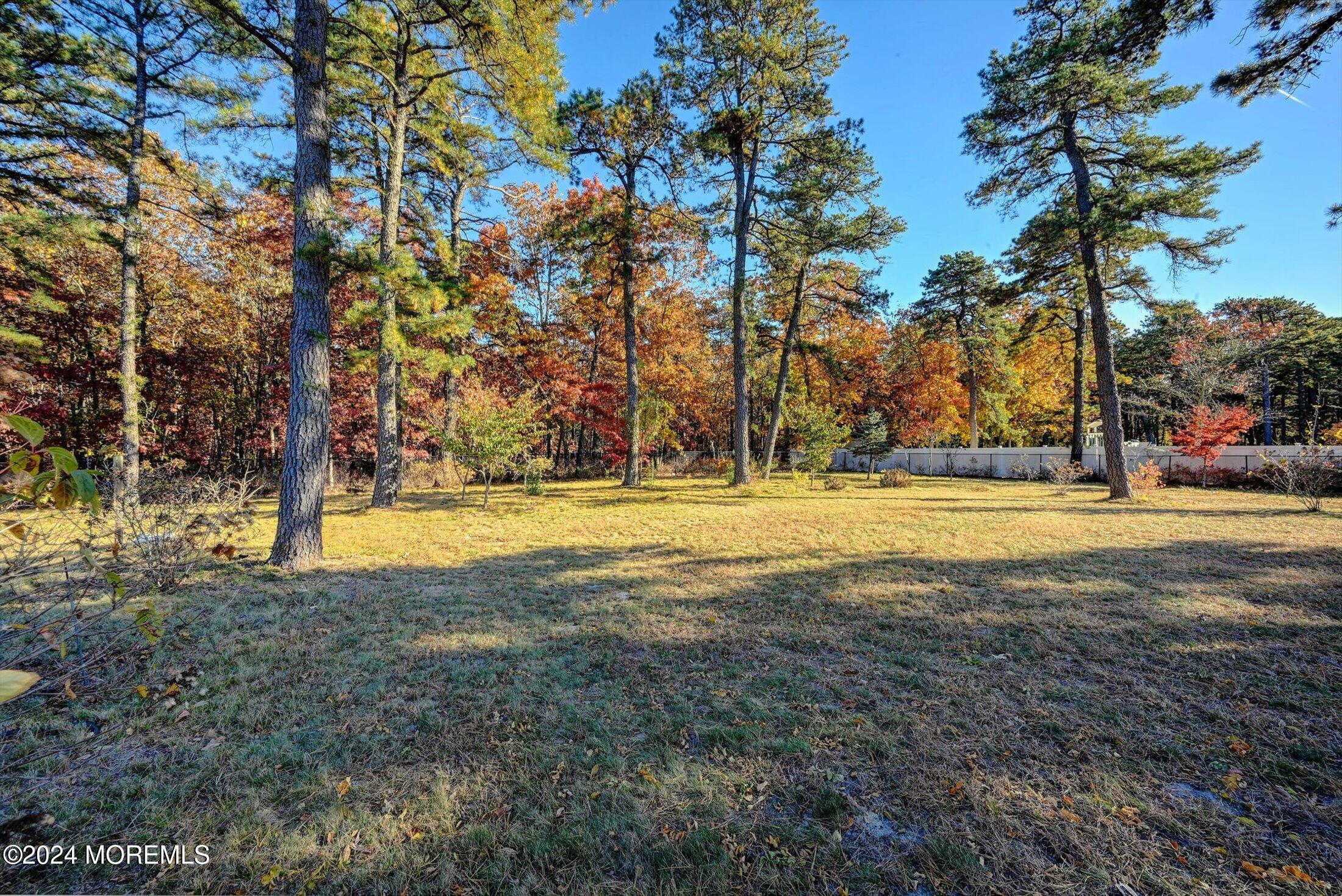 25 Wilson Boulevard Jackson, NJ 08527 - Photo 54 of 61 a view of yard with trees