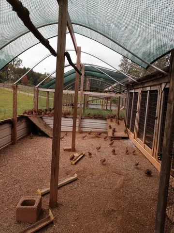 $888,000 | 280 Woodwinds Road, Callaway, VA 24067