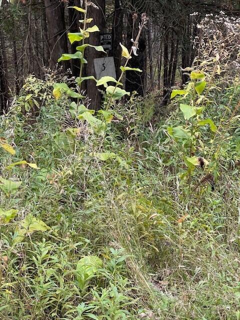 129 Winding Hill Road St. Albans, ME 04971 - Photo 1 of 9 1