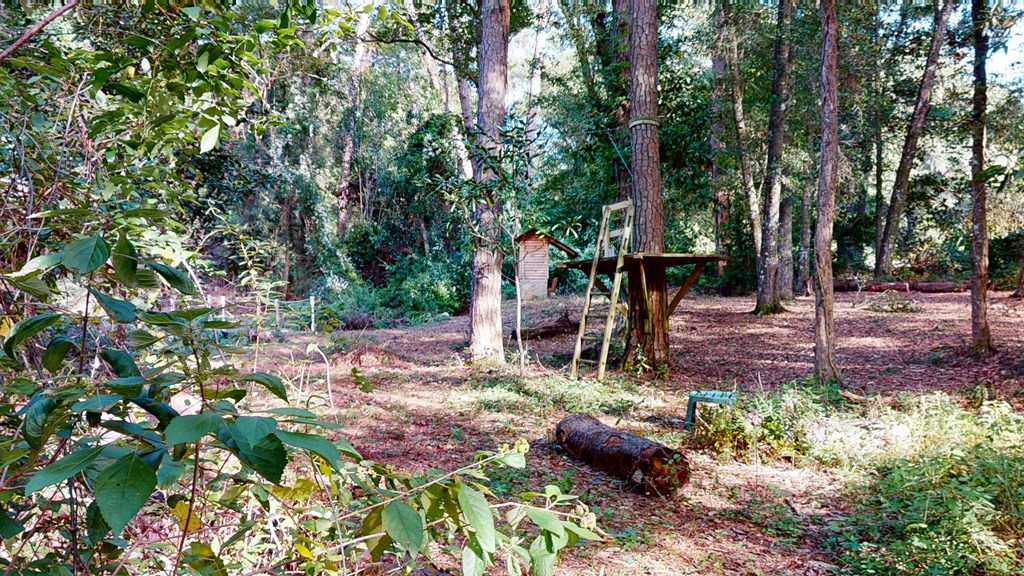2003 Deerpath Road Dothan, AL 36303 - Photo 71 of 75
