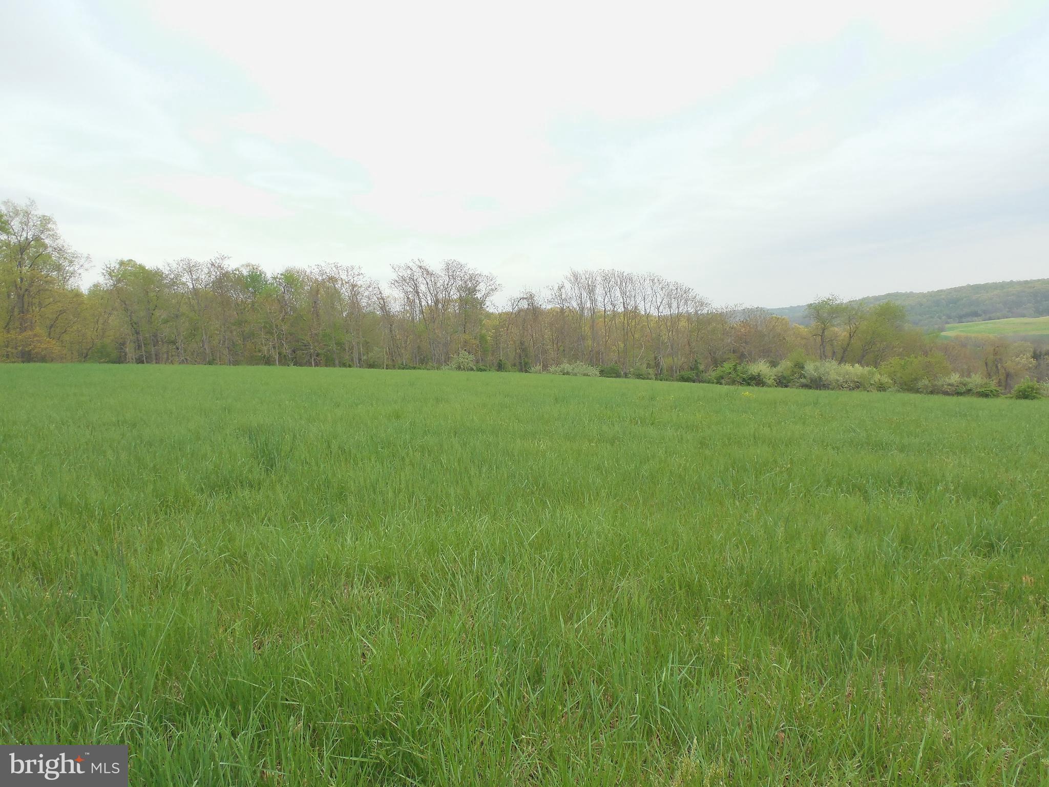 Lot 21 Bald Eagle Road Fawn Grove, PA 17321 - Photo 2 of 5 Gallery Image 2