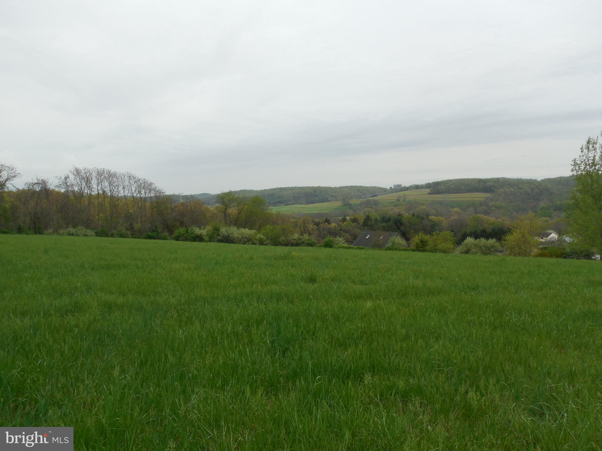 Lot 21 Bald Eagle Road Fawn Grove, PA 17321 - Photo 4 of 5 Gallery Image 4