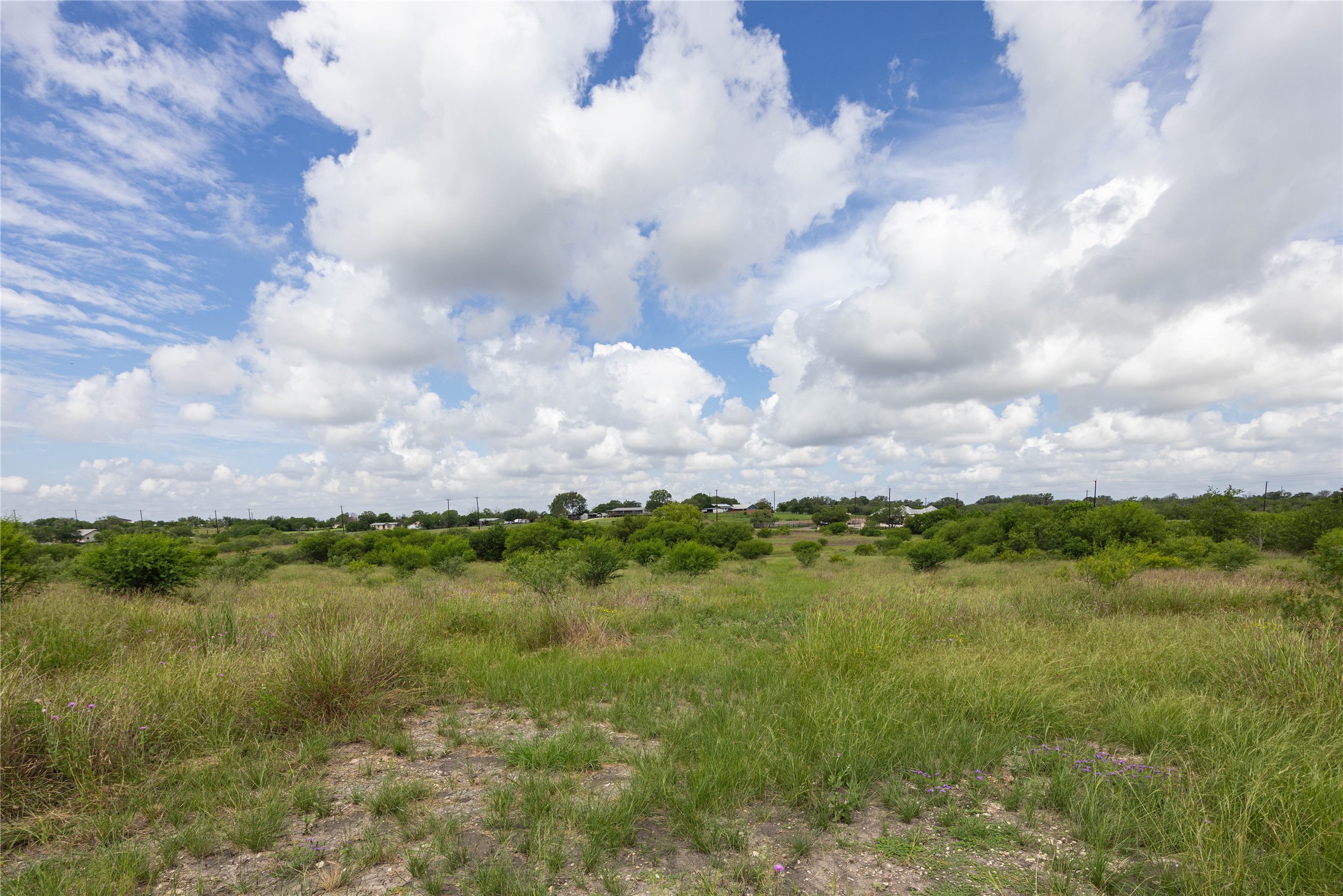 6868 Pfeil Road Schertz, TX 78154 - Photo 12 of 14 a view of a lake and a yard
