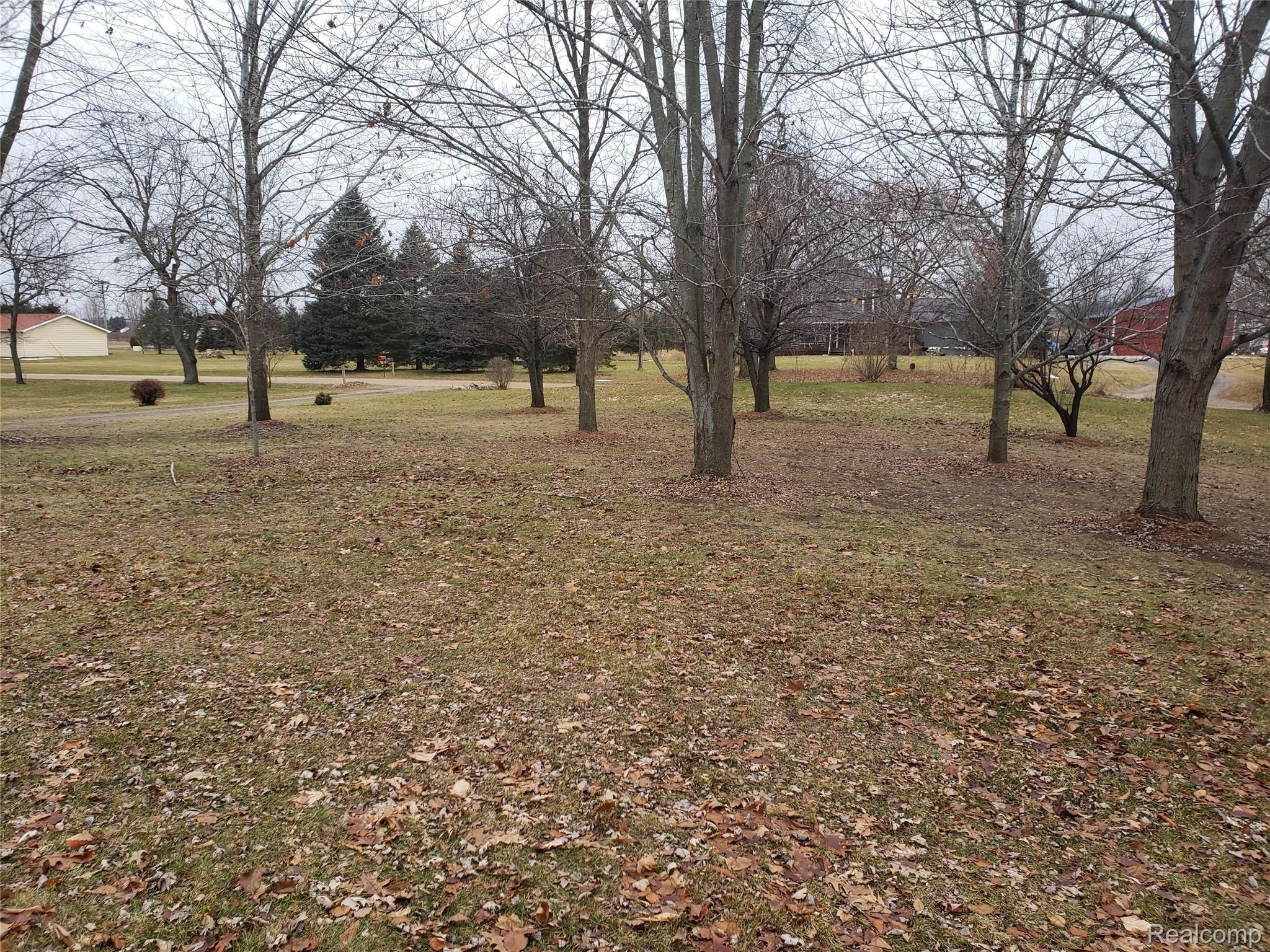 4552 Catlin Road Columbiaville, MI 48421 - Photo 34 of 41 Side Yard