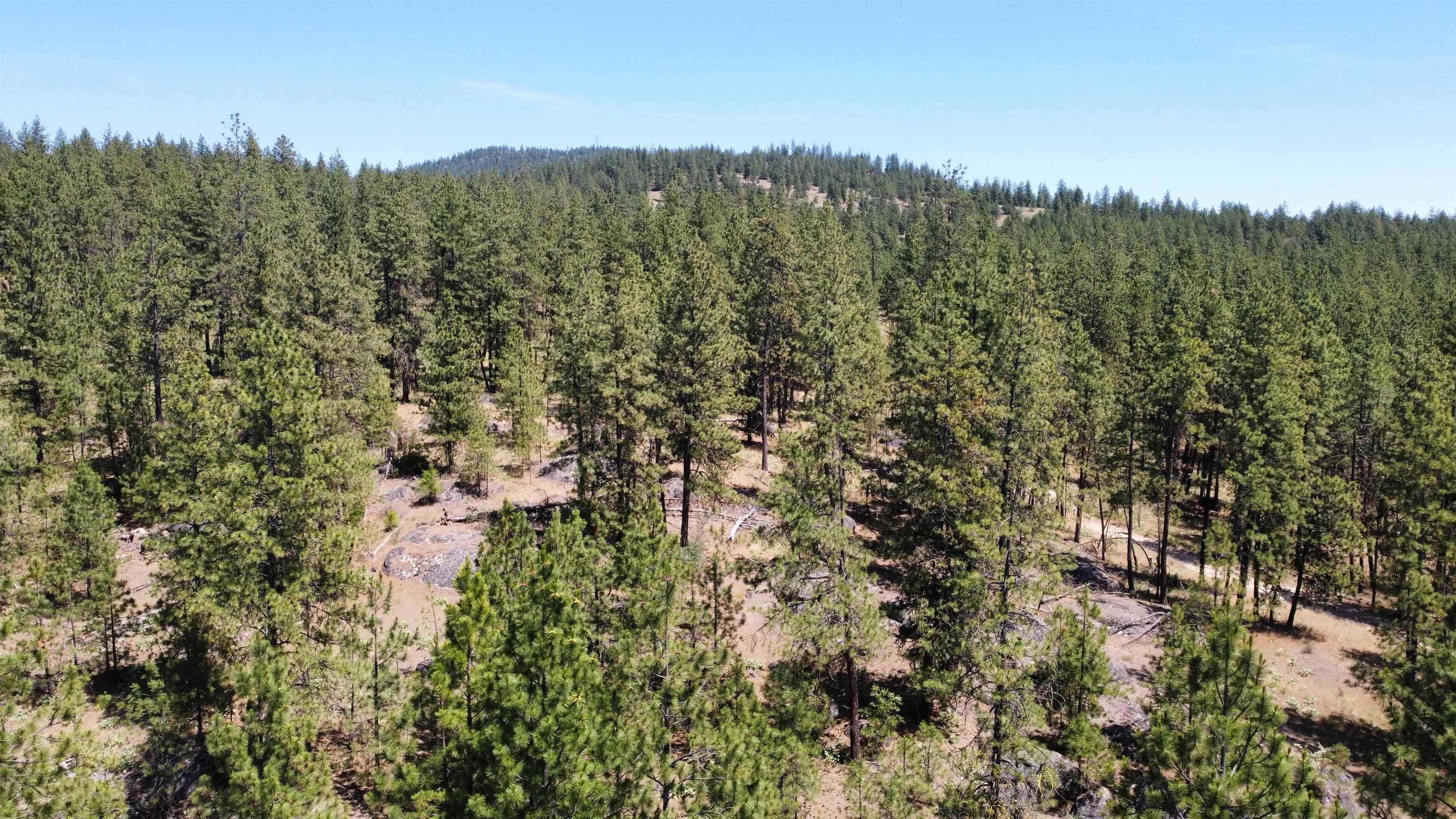 Nna Corkscrew Canyon Road Tumtum, WA 99034 - Photo 36 of 41 Gallery Image 36