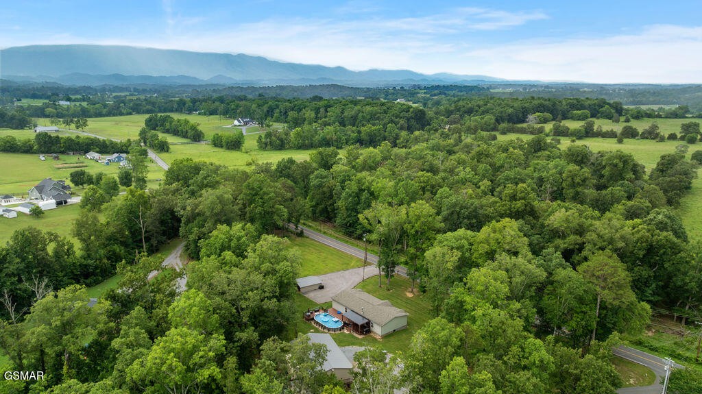 704 Mize Road Seymour, TN 37865 - Photo 43 of 47 Gallery Image 43