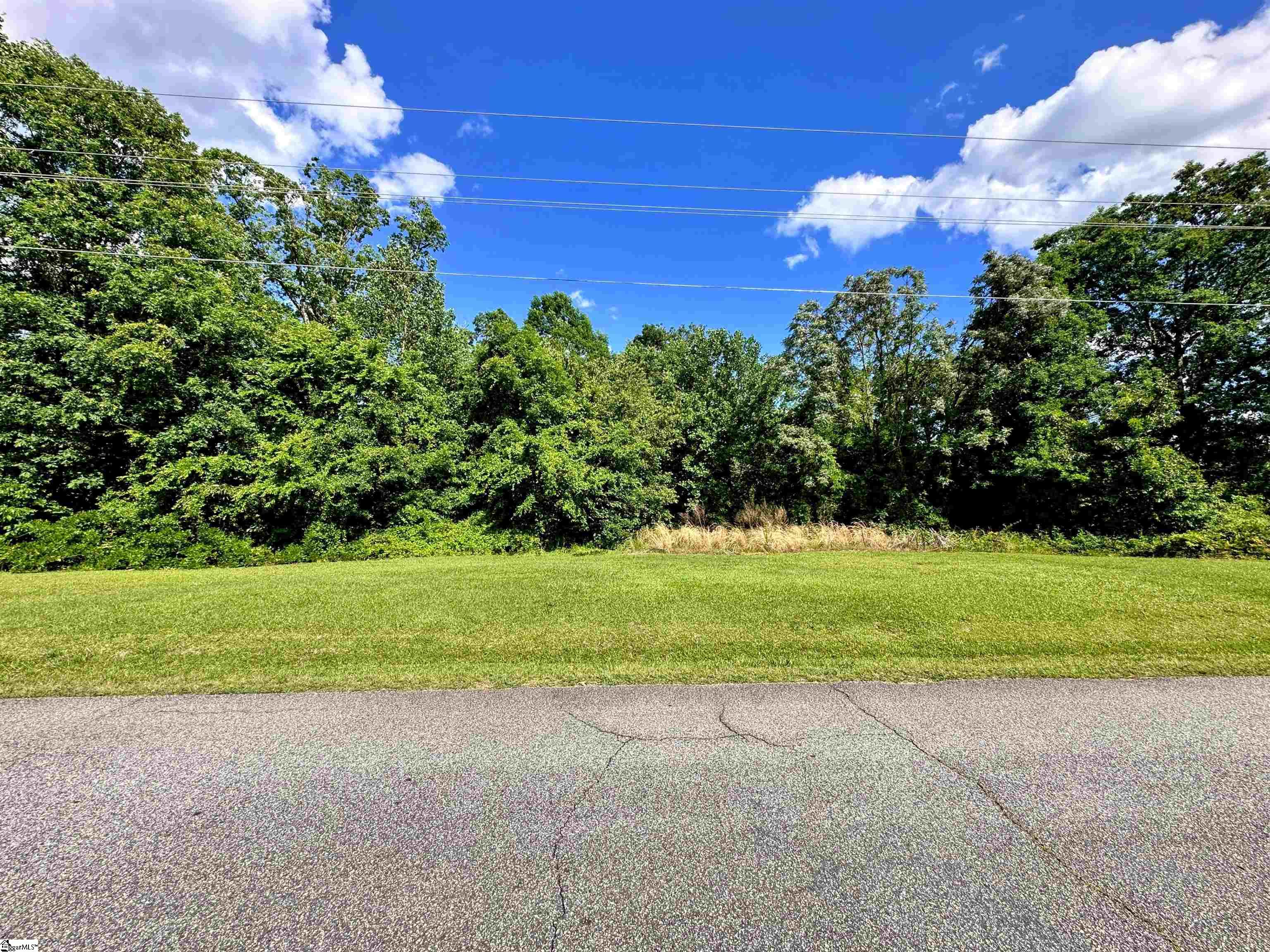 0 Pearson Road Greer, SC 29651 - Photo 2 of 9