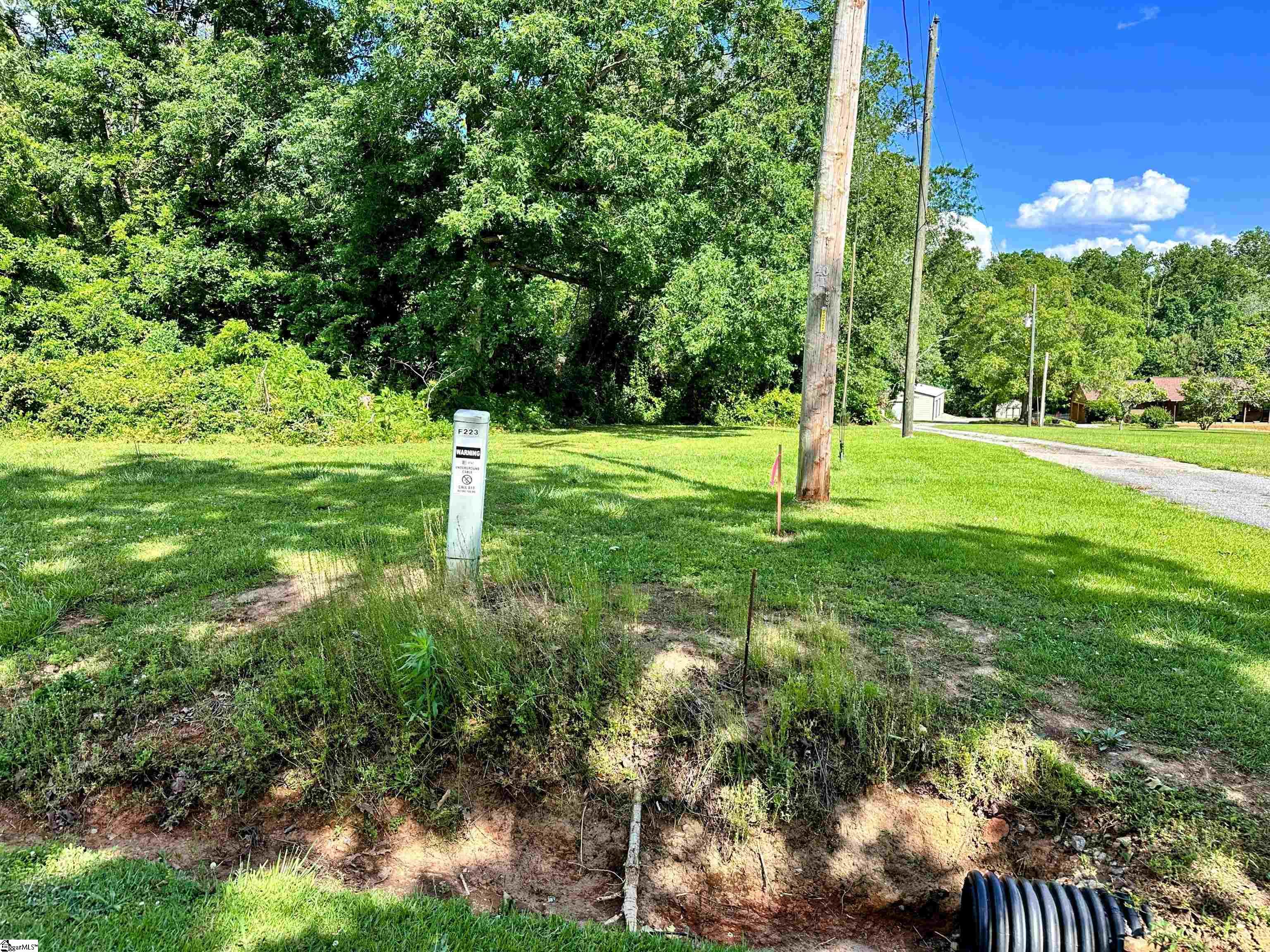 0 Pearson Road Greer, SC 29651 - Photo 3 of 9