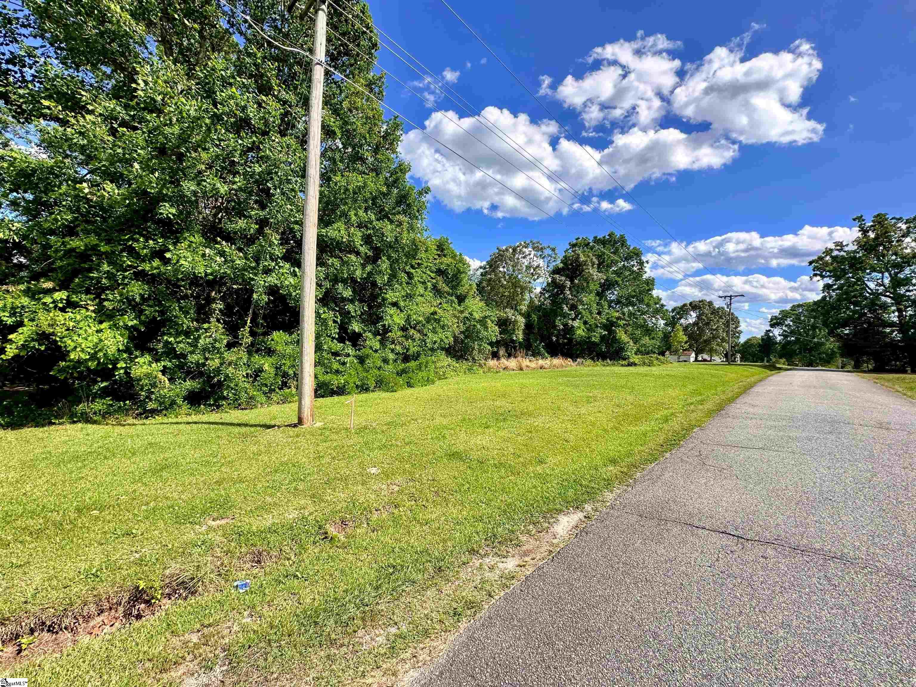 0 Pearson Road Greer, SC 29651 - Photo 4 of 9