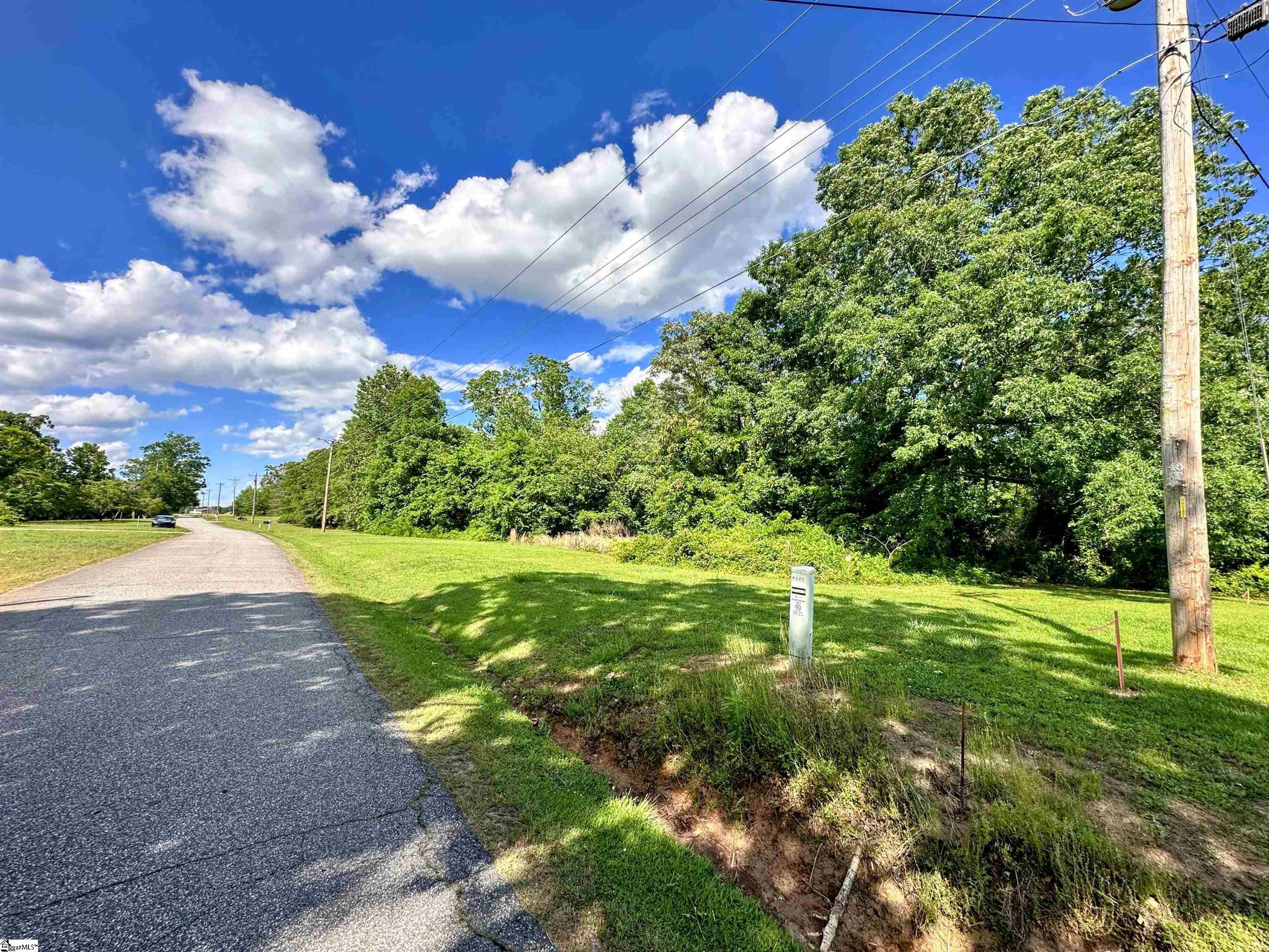 0 Pearson Road Greer, SC 29651 - Photo 5 of 9