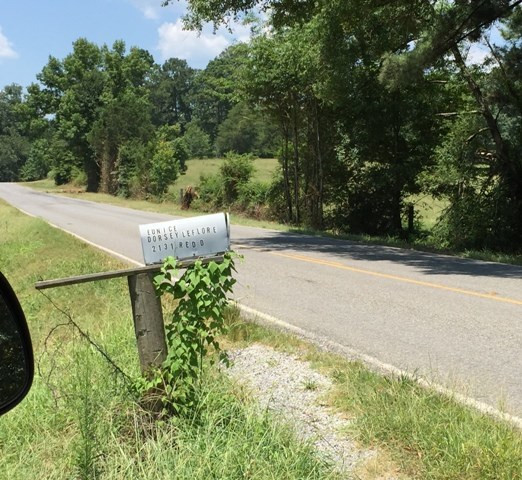 2131 Red Dog Road Carthage, MS 39051 - Photo 3 of 14 Photo 3