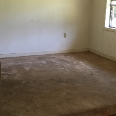 2131 Red Dog Road Carthage, MS 39051 - Photo 4 of 14 Photo 4