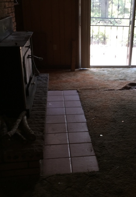 2131 Red Dog Road Carthage, MS 39051 - Photo 8 of 14 Photo 8