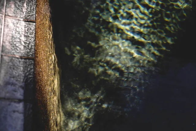 $1,050,000 | 34 Pisces Drive, Santa Rosa Beach, FL 32459