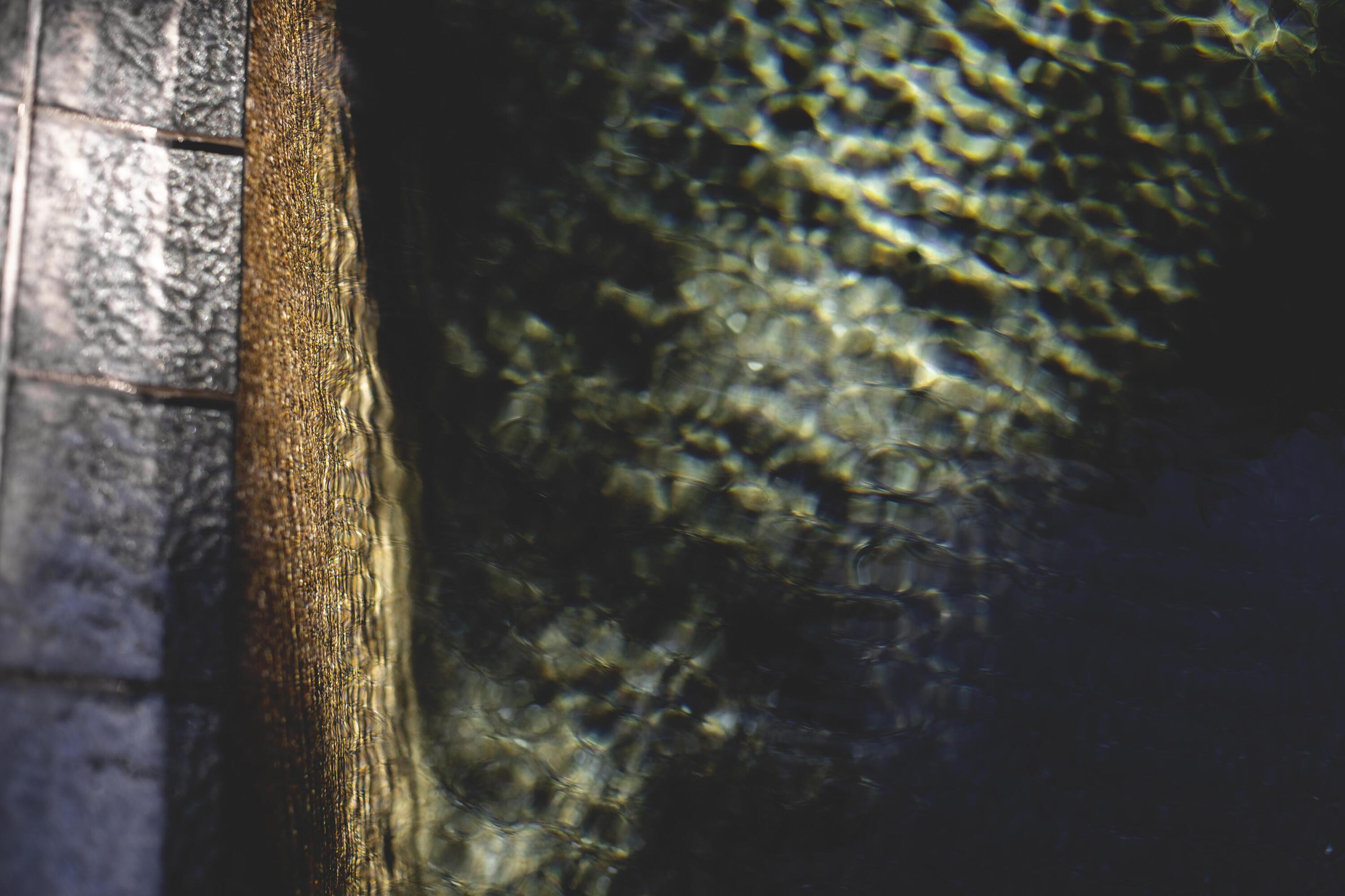 34 Pisces Drive Santa Rosa Beach, FL 32459 - Photo 53 of 70 34PICESMLittleProductions_54