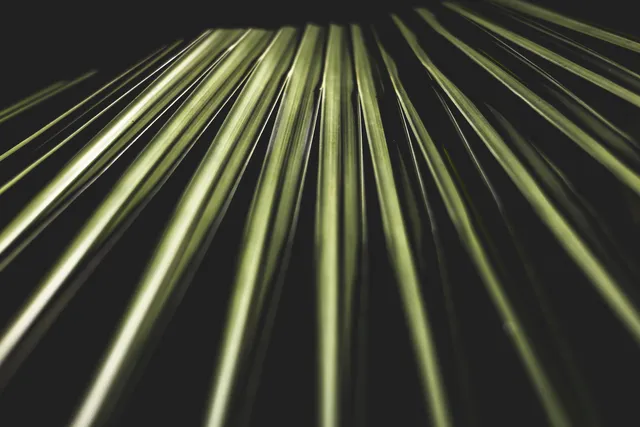 $1,050,000 | 34 Pisces Drive, Santa Rosa Beach, FL 32459