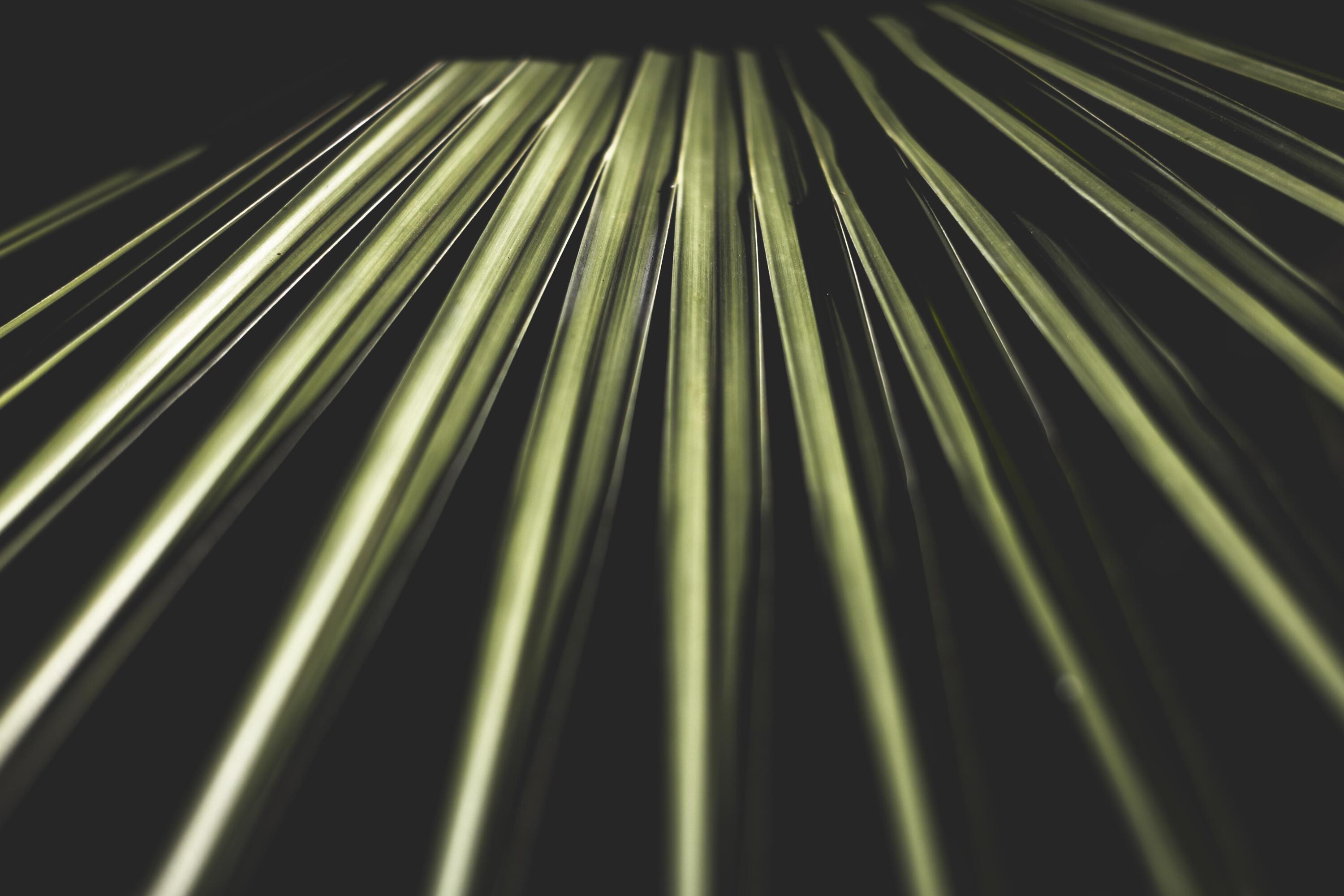 34 Pisces Drive Santa Rosa Beach, FL 32459 - Photo 54 of 70 34PICESMLittleProductions_53