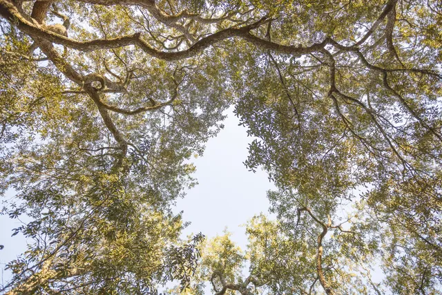 $1,050,000 | 34 Pisces Drive, Santa Rosa Beach, FL 32459