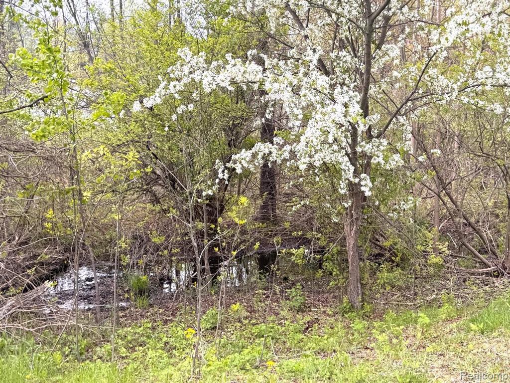 2325 Mertz Road Caro, MI 48723 - Photo 9 of 12