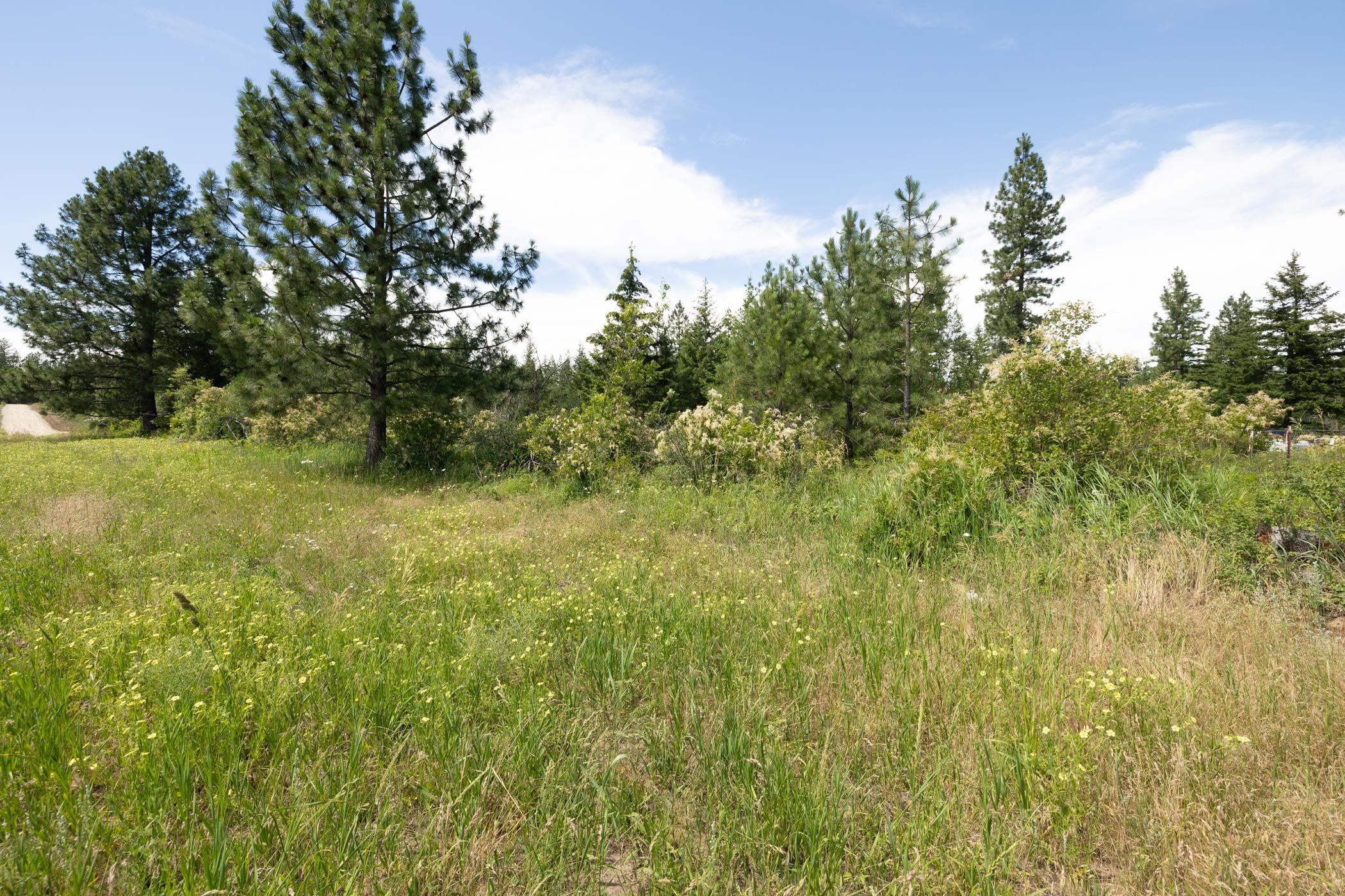 4702 Furzee Road Clayton, WA 99110 - Photo 1 of 12