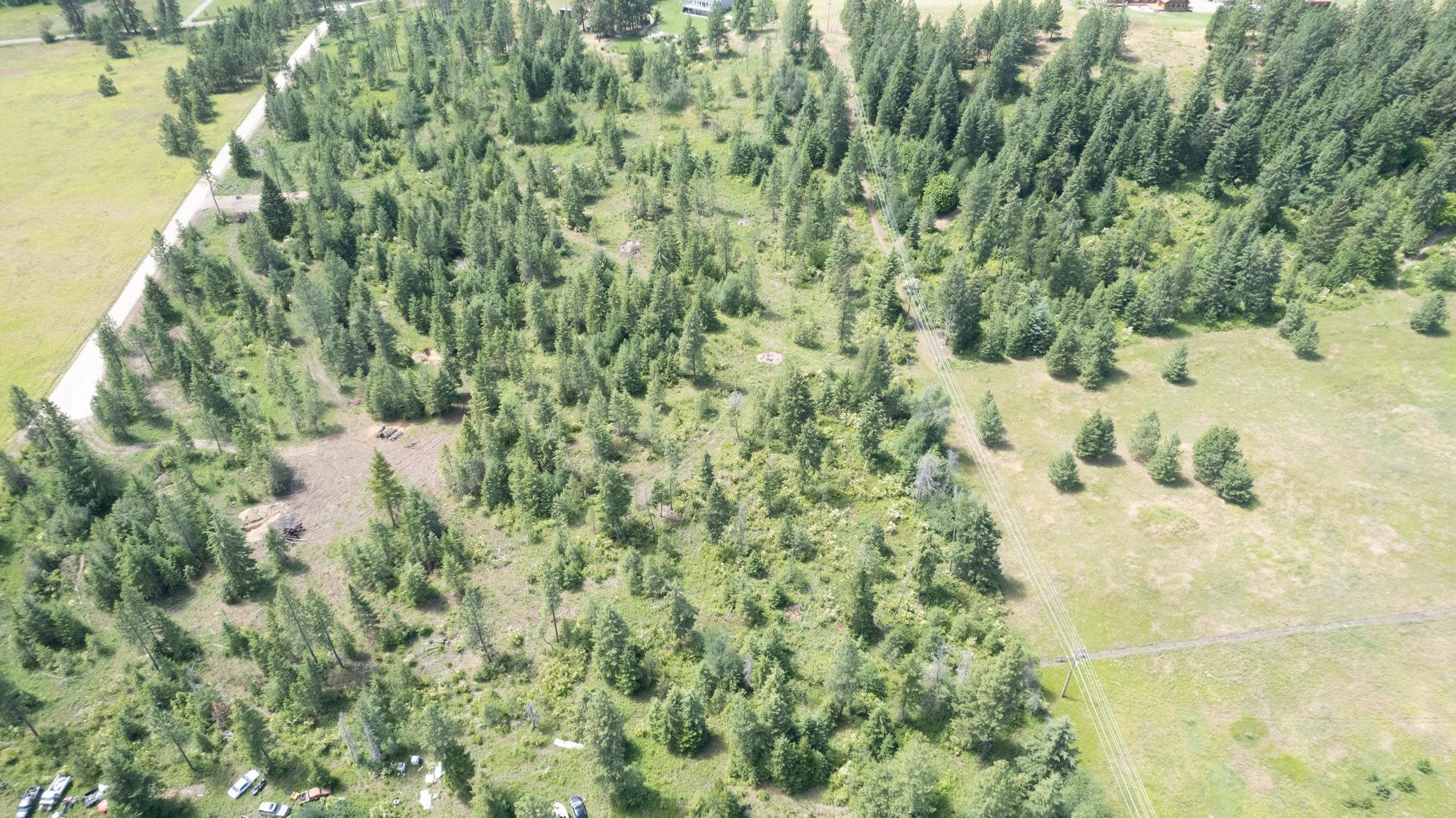 4702 Furzee Road Clayton, WA 99110 - Photo 3 of 12