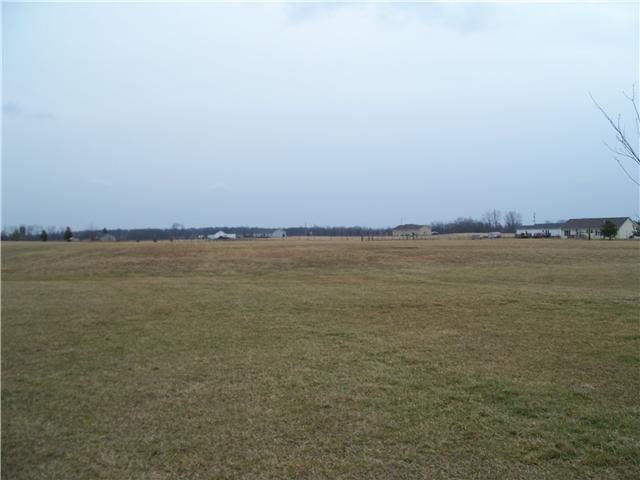 12960 Stafford Road Leesburg, OH 45135 - Photo 3 of 15 Gallery Image 3