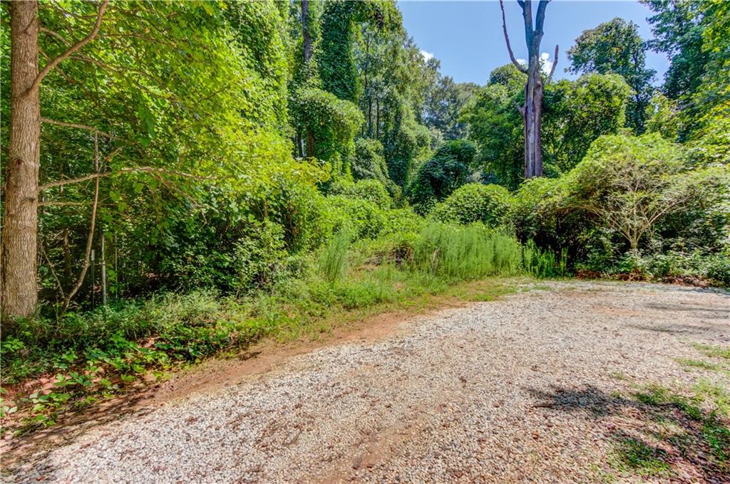 0 Jefferson Road Southeast Statham, GA 30666 - Photo 11 of 18 a view of a field with plants and trees