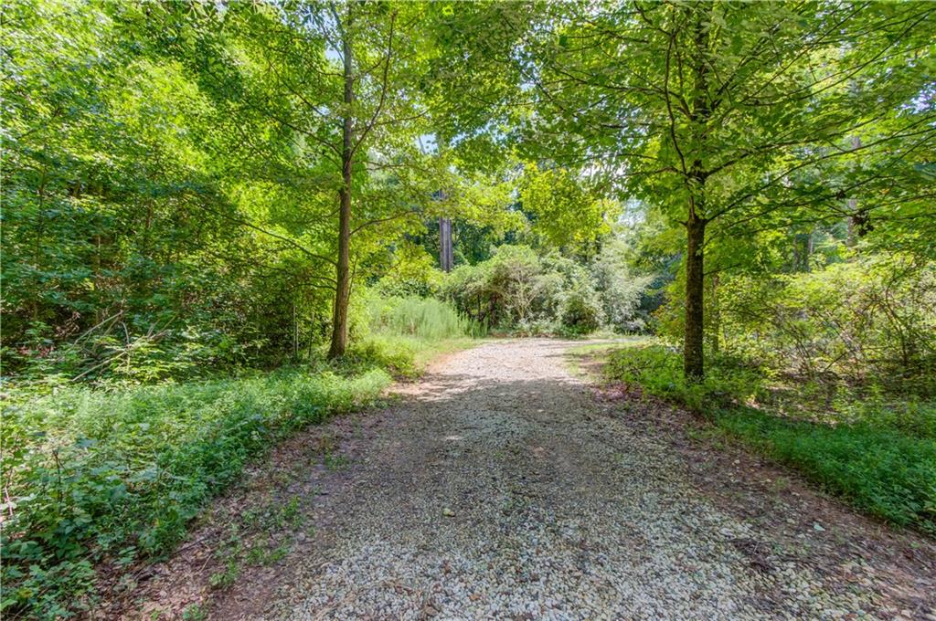 0 Jefferson Road Southeast Statham, GA 30666 - Photo 12 of 18 a view of forest with trees
