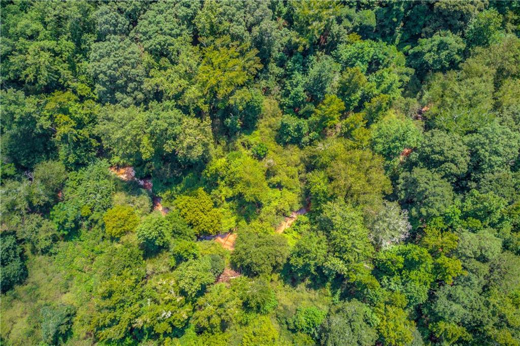 0 Jefferson Road Southeast Statham, GA 30666 - Photo 15 of 18 a view of a lush green forest