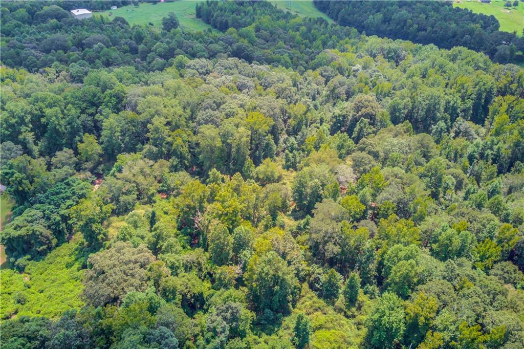 0 Jefferson Road Southeast Statham, GA 30666 - Photo 16 of 18 a view of a lush green forest with trees and houses