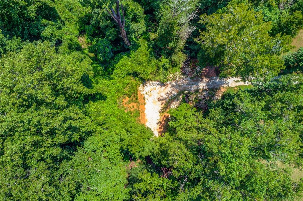 0 Jefferson Road Southeast Statham, GA 30666 - Photo 18 of 18 a view of a forest