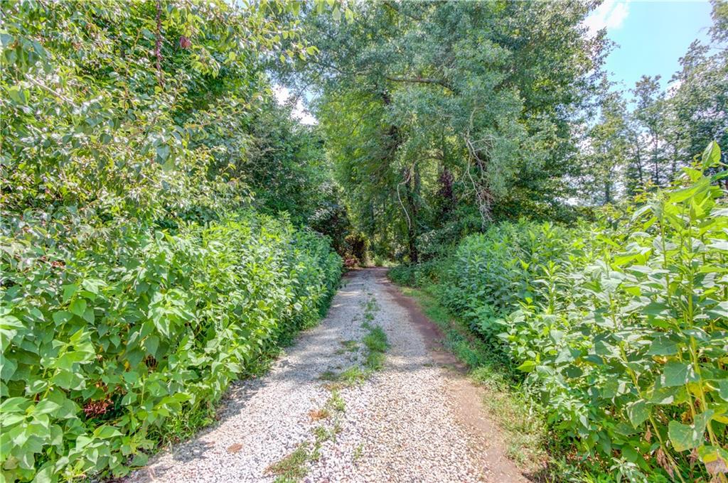 0 Jefferson Road Southeast Statham, GA 30666 - Photo 7 of 18 a view of a pathway both side of yard