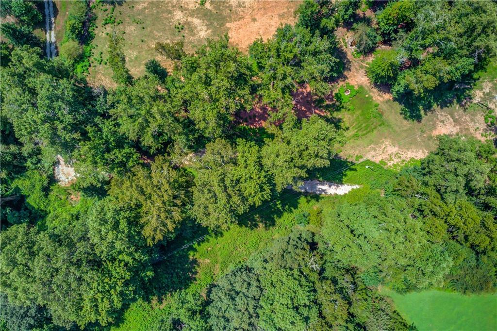 0 Jefferson Road Southeast Statham, GA 30666 - Photo 8 of 18 a view of a forest