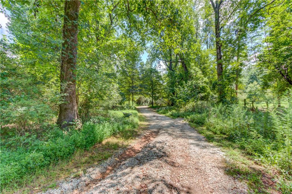 0 Jefferson Road Southeast Statham, GA 30666 - Photo 9 of 18 a big yard with lots of green space and deers