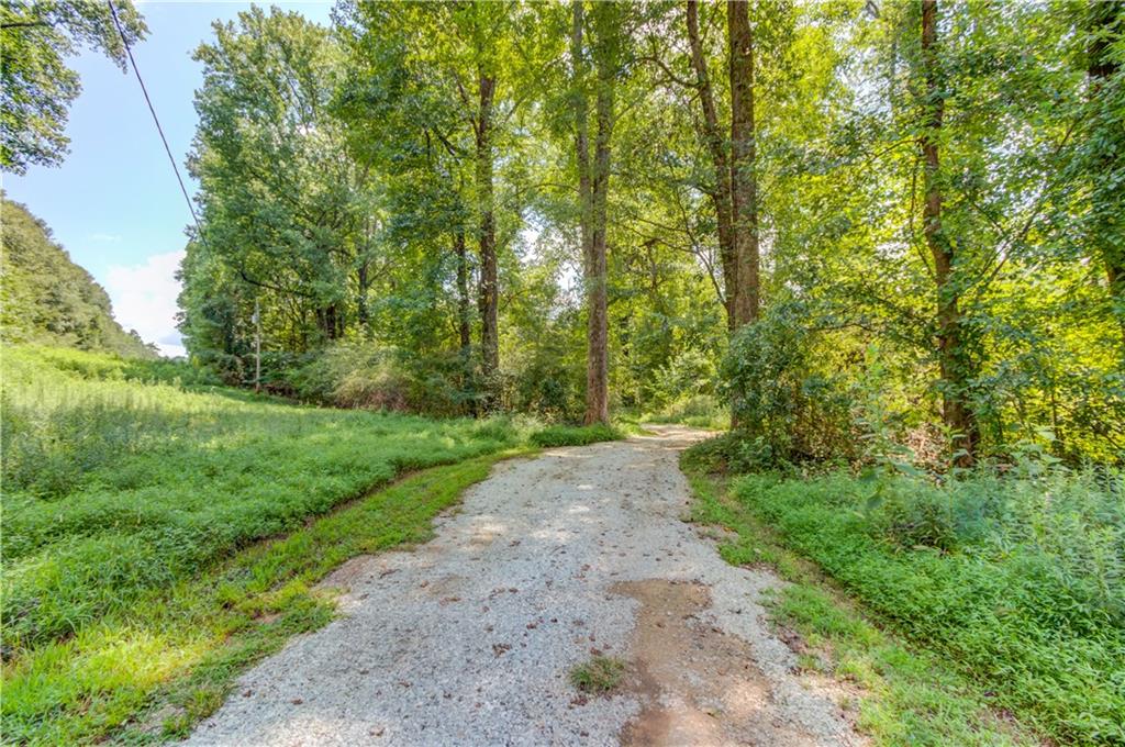 0 Jefferson Road Southeast Statham, GA 30666 - Photo 10 of 18 a view of a yard with large trees