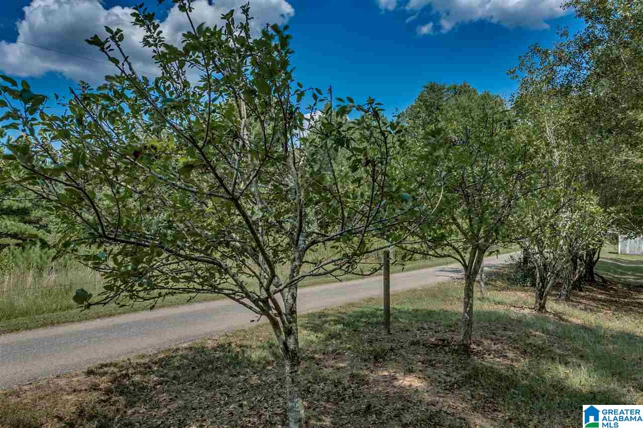 184 Jenkins Farm Road Helena, AL 35080 - Photo 24 of 25
