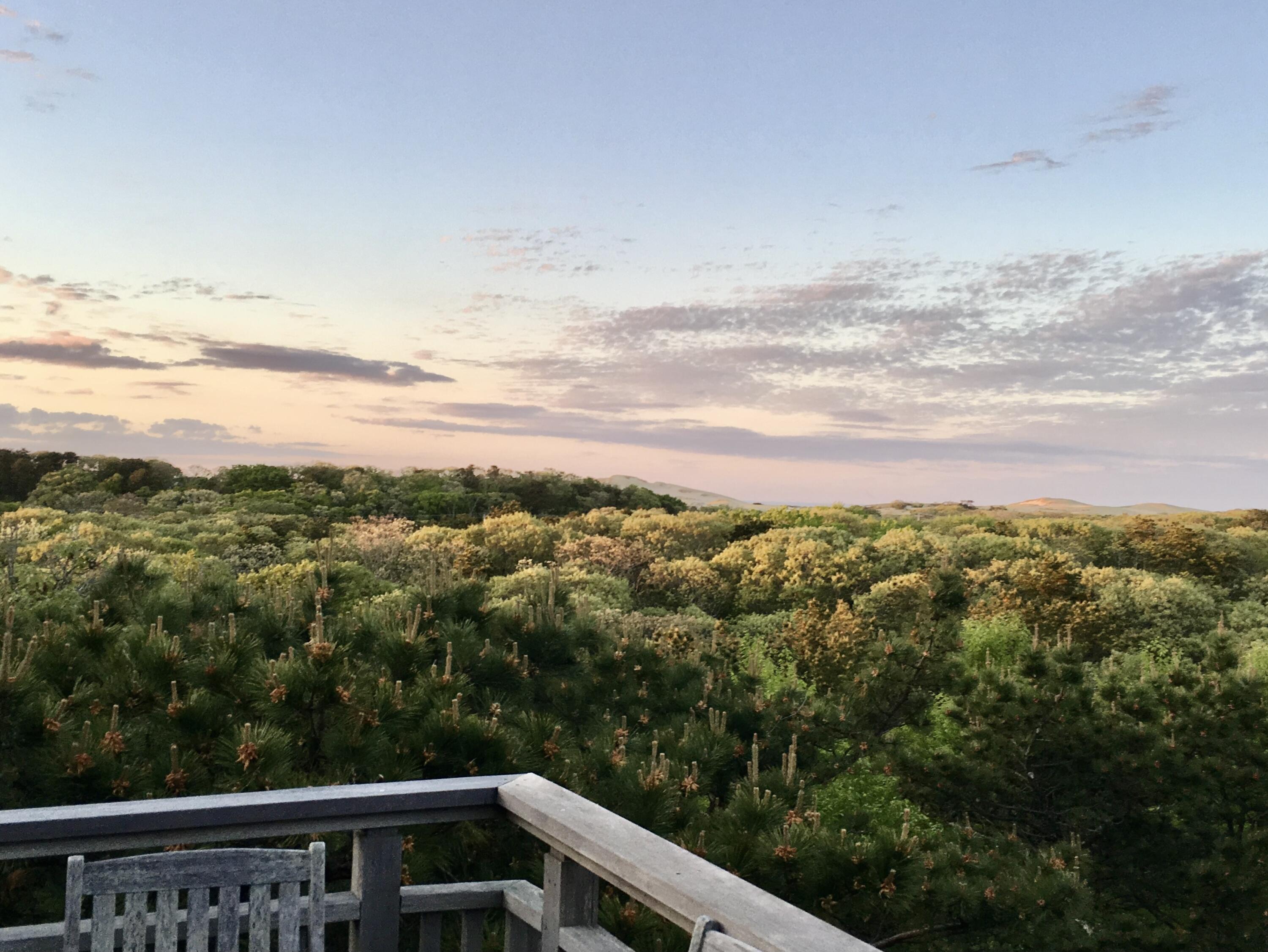 9 Thistlemore Road Provincetown, MA 02657 - Photo 3 of 36 a view of a city from a balcony