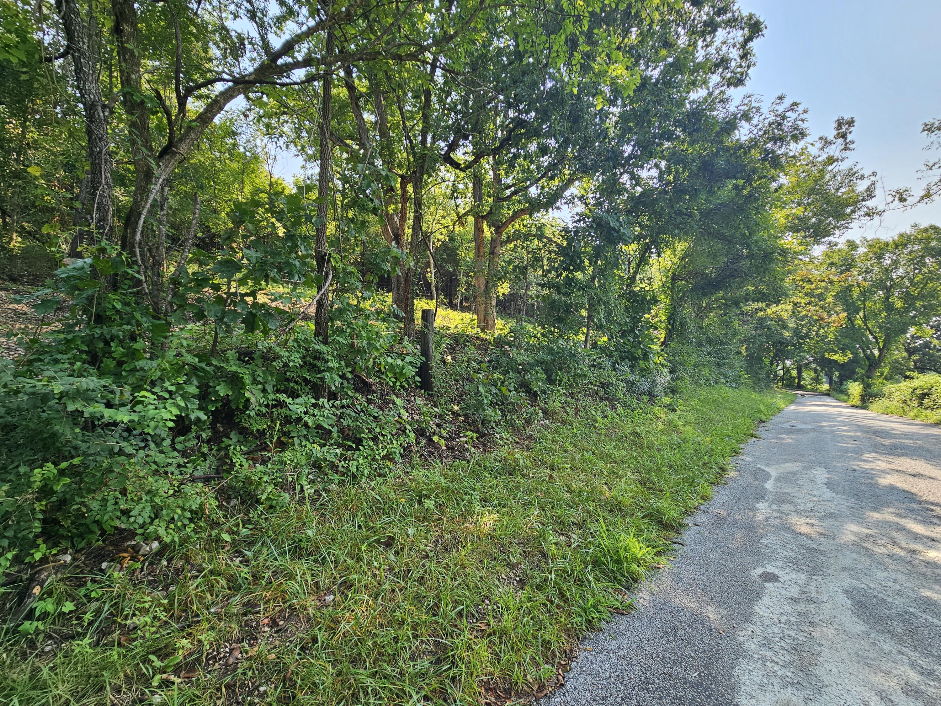 0 McLean Road Ozark, MO 65721 - Photo 2 of 14 1000034170