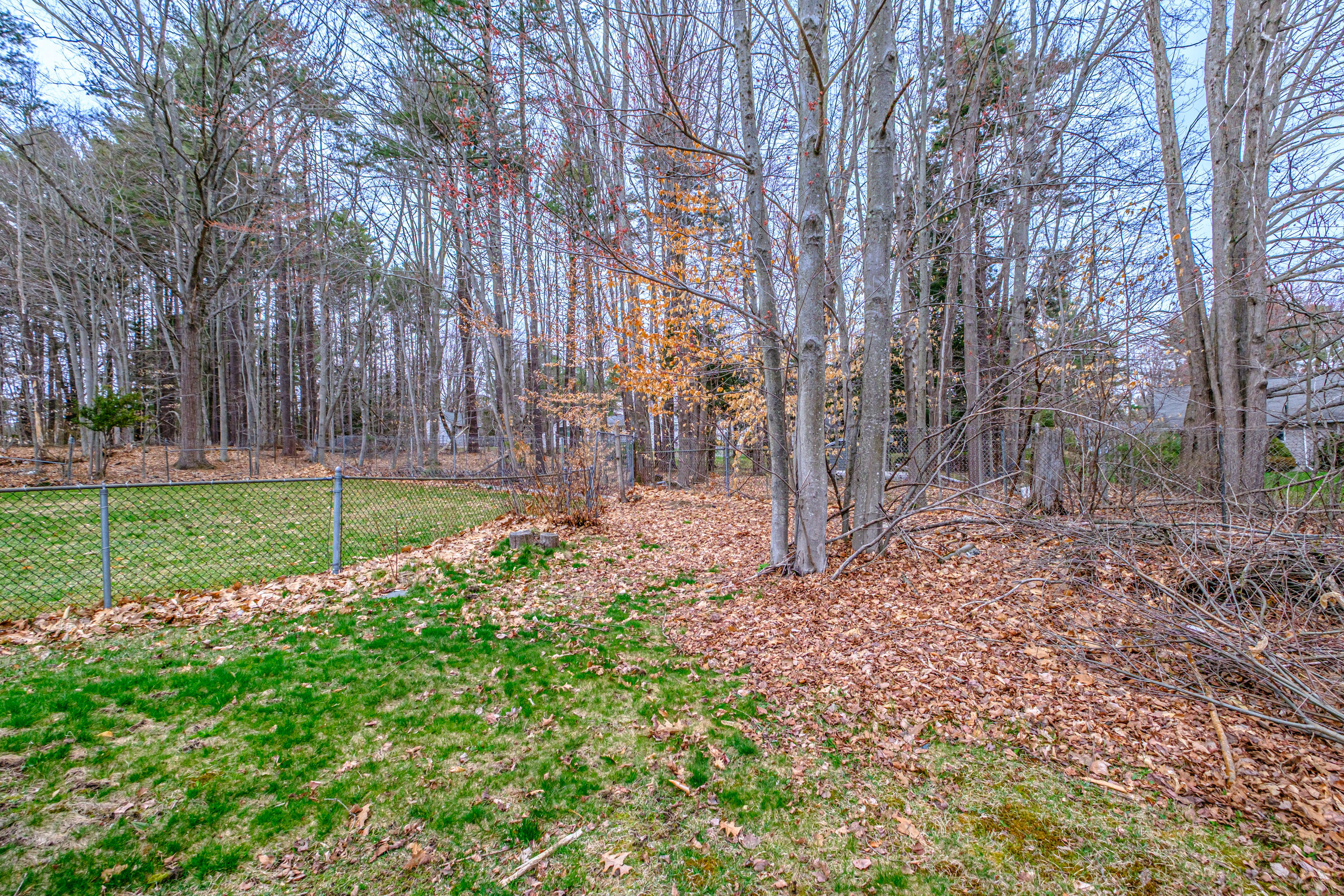 6 Prince Street Cumberland Center, ME 04021 - Photo 41 of 50 20260422gp-62050