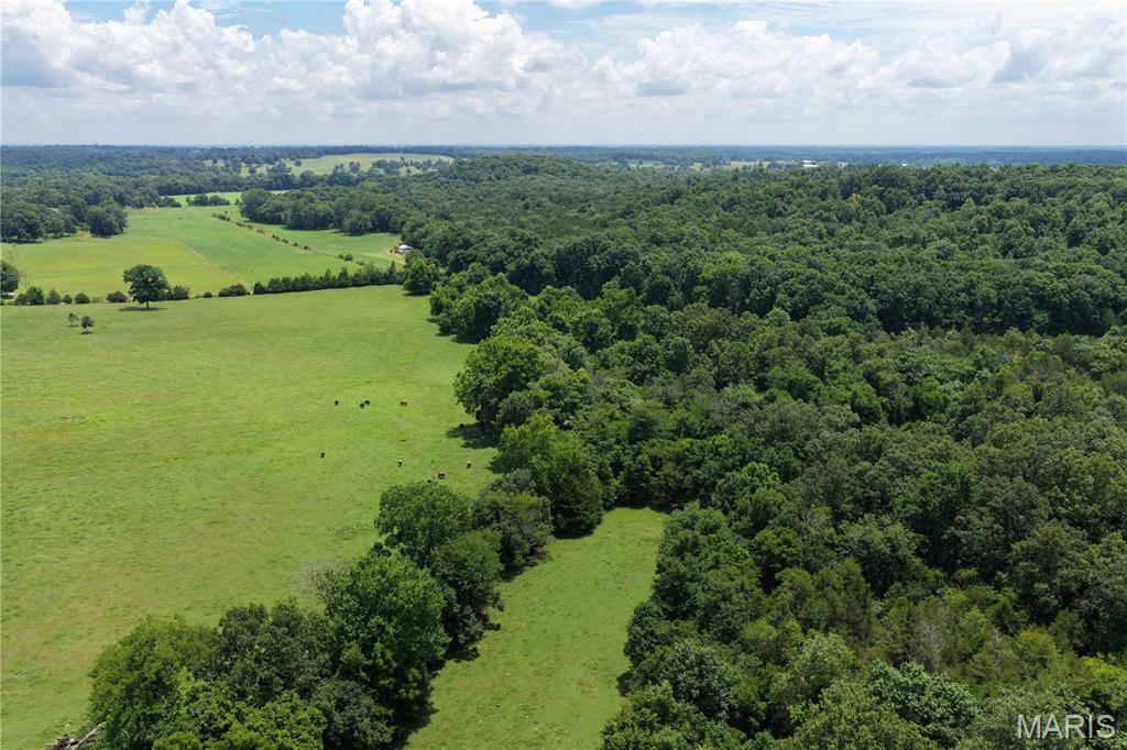 Tbd Fairview Road Imboden, AR 72434 - Photo 2 of 24