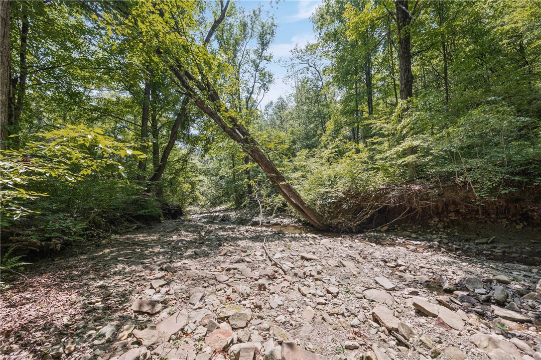 0 Middle Road Angelica, NY 14709 - Photo 7 of 10