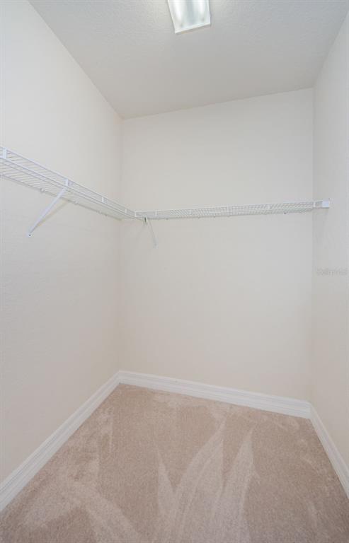 1500 Ember Lane Tarpon Springs, FL 34689 - Photo 24 of 53