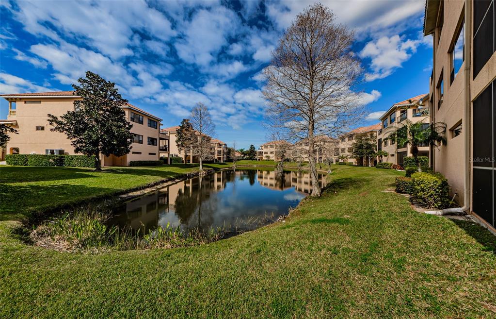 1500 Ember Lane Tarpon Springs, FL 34689 - Photo 36 of 53