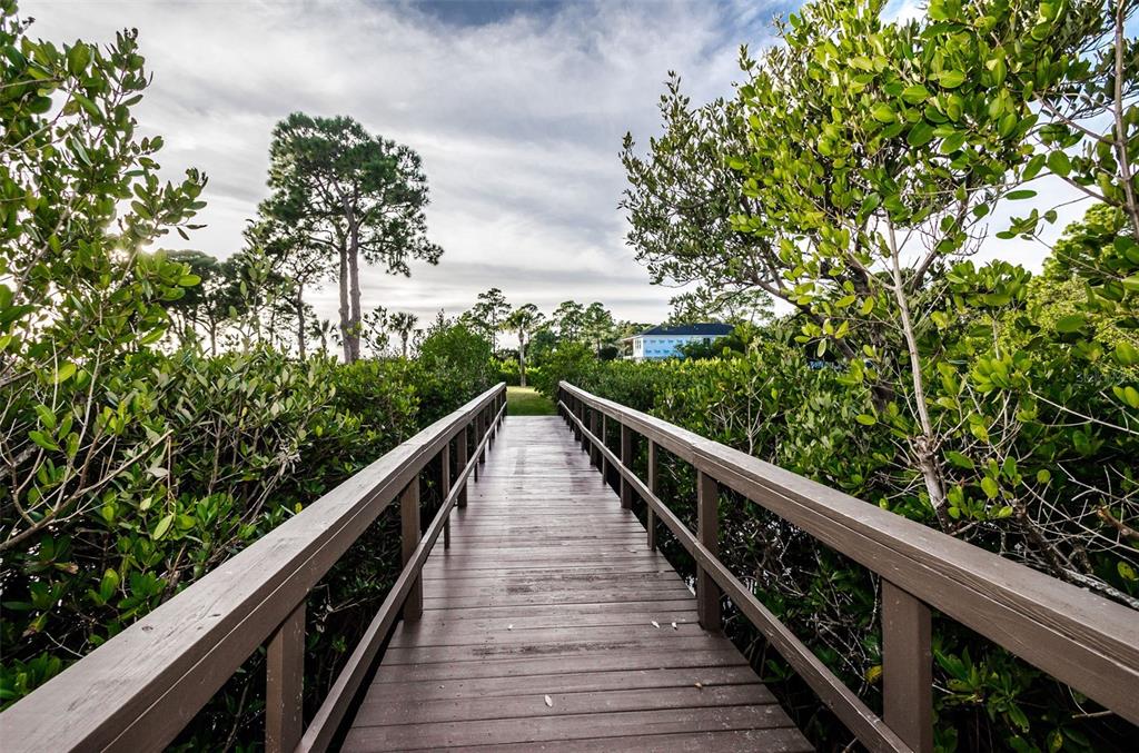 1500 Ember Lane Tarpon Springs, FL 34689 - Photo 49 of 53