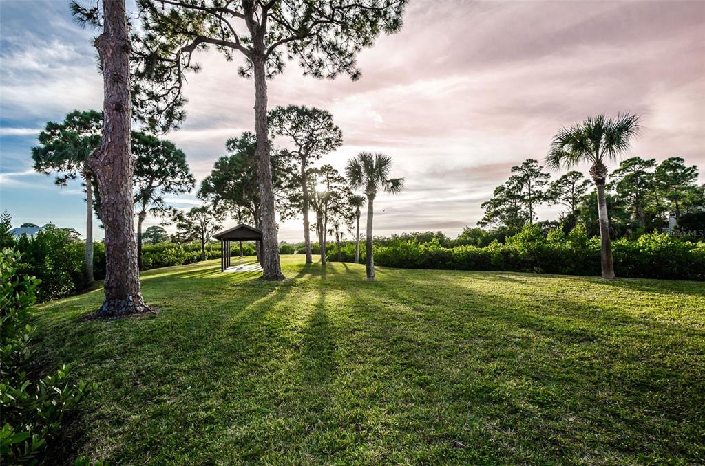 1500 Ember Lane Tarpon Springs, FL 34689 - Photo 50 of 53