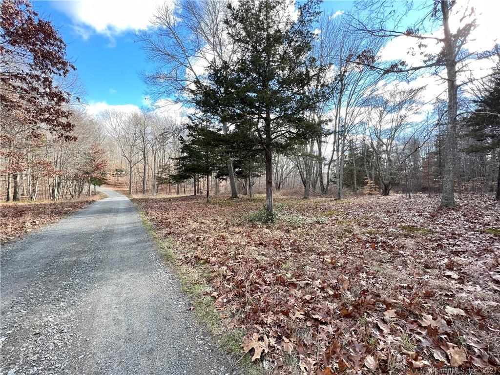 74 Keeny Road Lyme, CT 06371 - Photo 1 of 1 a view of a yard with a tree