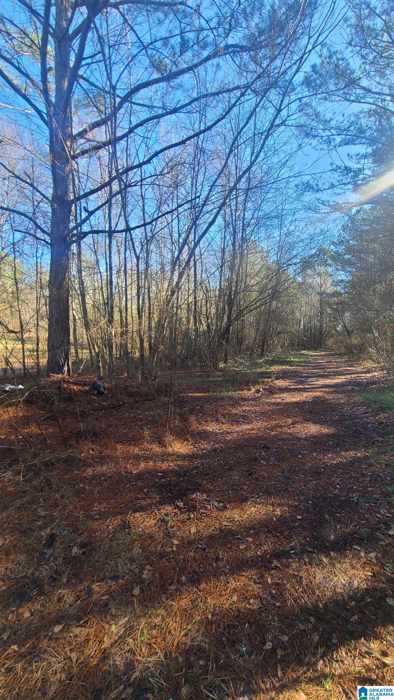 0 Jeremy Lane, Unit 1 Lincoln, AL 35096 - Photo 4 of 6