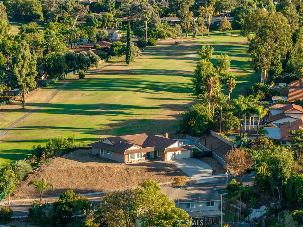 1450 Vía Vallarta Riverside, CA 92506 - Photo 3 of 36 a view of a big yard with potted plants and large trees